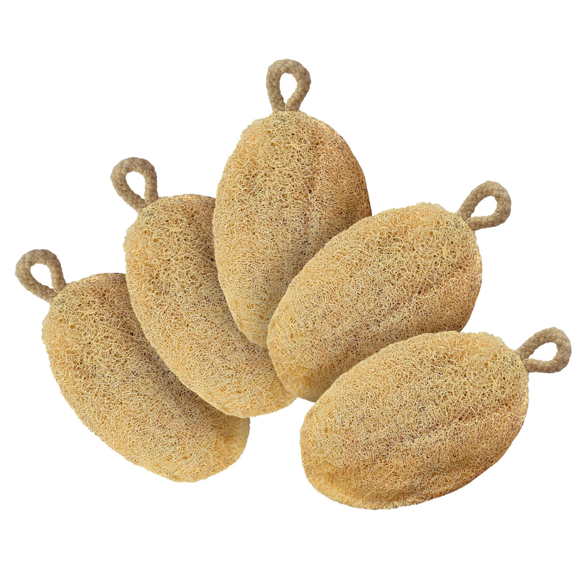 Careberry Earth-Embrace Exfoliating Loofah| Body Sponge Scrubber for Bathing | Bath Luffa Sponges