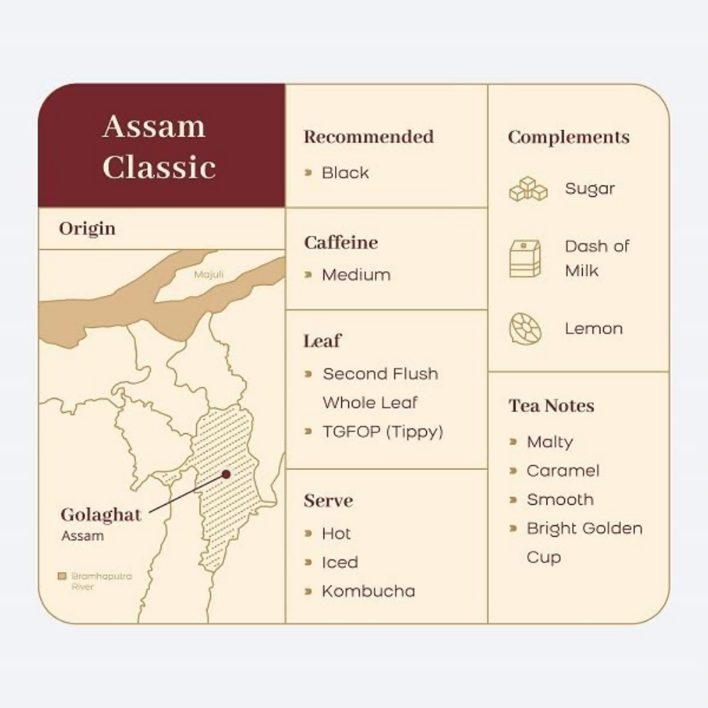 McLeod Russel 1869 - Assam Classic - Distacart