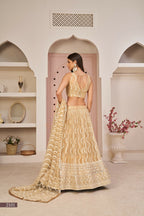 Eilara Women'S Beige Butterfly Net Thread Embroidered Work Designer Lehenga Choli