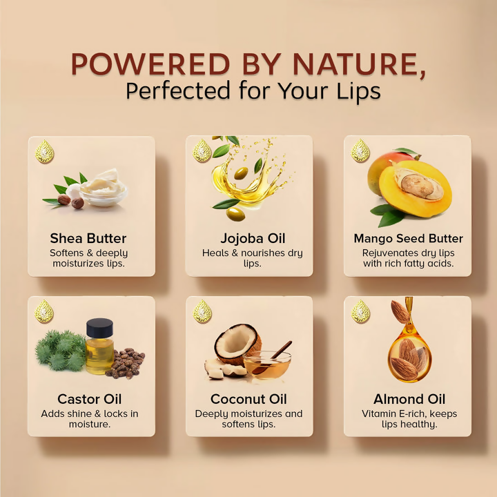 Dunamiss Hazel Glitter Glimmer Lip Balm - Distacart