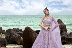 House of Panchhi Mauve Net Multi Sequins with heavy Zarkan embroidery Lehenga choli & Dupatta