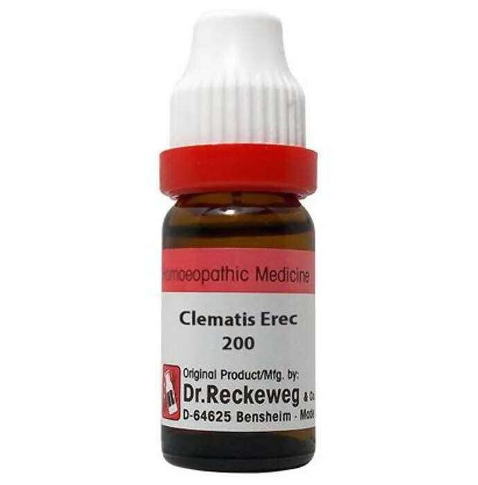 Dr. Reckeweg Clematis Erec Dilution - Distacart