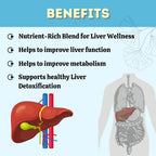 Herbal Hills Liv - First Liver Support Tablets - Distacart