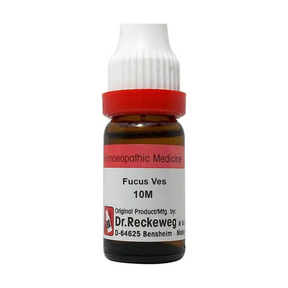 Dr. Reckeweg Fucus Ves Dilution - Distacart