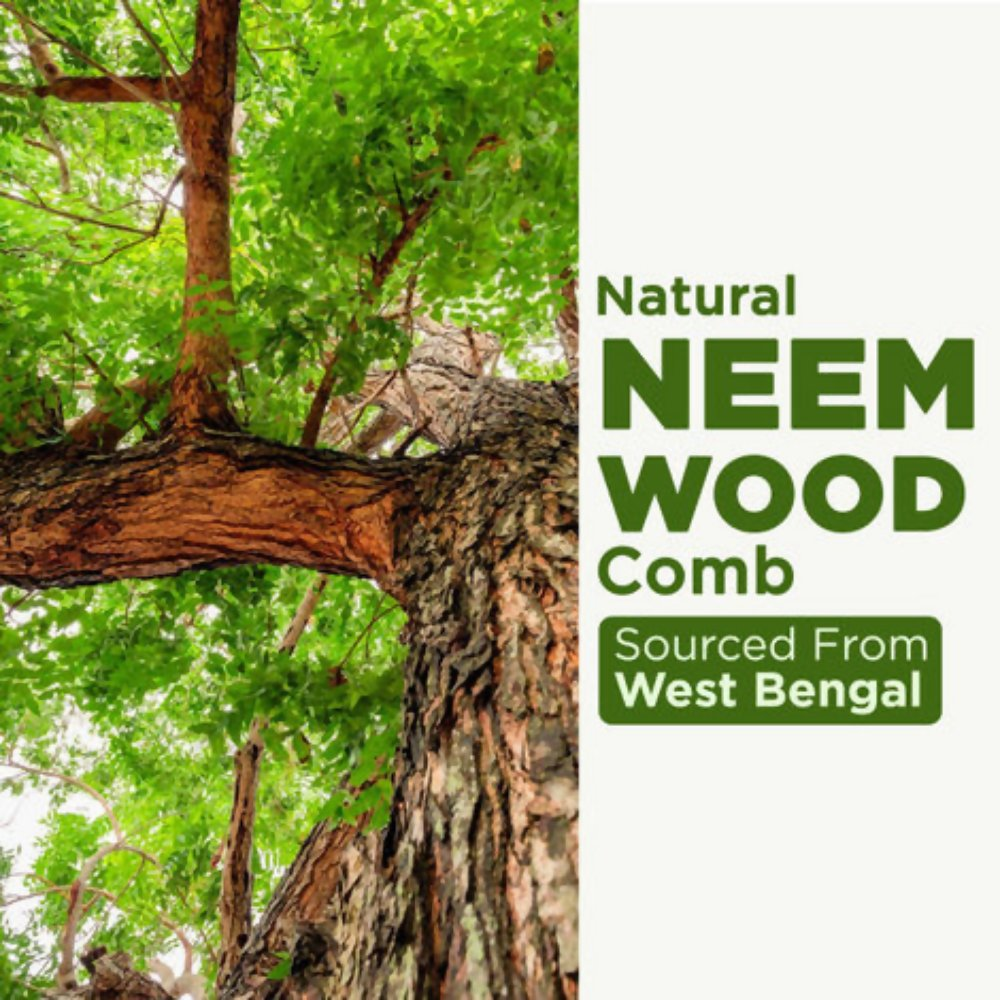 Alps Goodness 100% Natural Neem Comb