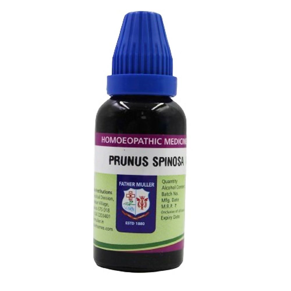 Father Muller Prunus Spinosa Mother Tincture Q - Distacart