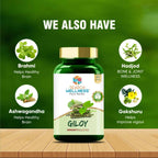 Search Wellness Giloy Capsules - Distacart