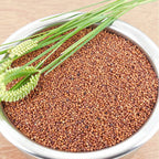 Ragi Organic