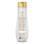 Jovees Ginger Spa Dry Therapy Shampoo