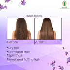Adonis Grip Hair DH Mask