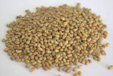 Freshon Natural Madike Kalu