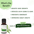 Mystiq Living Originals Tea Tree Essential Oil