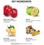Dr. Vaidya's Apple Cider Vinegar - Distacart