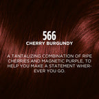 L'Oreal Paris Casting Creme Gloss Ultra Visible Conditioning Hair Color - 566 Cherry Burgundy