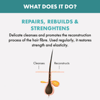 Alfaparf Milano Reparative Shampoo For Hairfall Repair