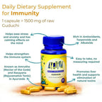 Ayuttva Guduchi Capsules - Distacart