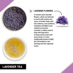 Teacurry Lavander Tea Bags - Distacart