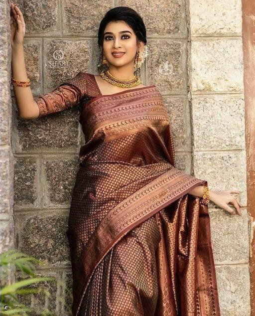 DEIANA'S Beautiful Designer Golden zari Soft Lichi Silk Saree - Brown
