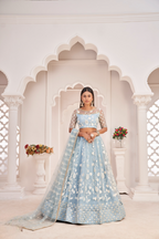 Eilara Women'S Sky Blue Butterfly Net Embroidered Thread Work Festivals Lehenga Choli