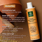 Organic Harvests Organic Color Protect Quinoa Shampoo