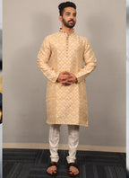 Prazu Fashion Beige Soft Silk With Heavy Neck Design Kurta