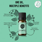 Uniearth Pure & Undiluted Camphor Essential Oil for Skin & Hair Care