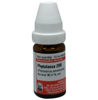 Dr. Willmar Schwabe Germany Phytolacca Dilution