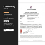 Minimalist SPF 50 PA ++++ Sunscreen With Multi-Vitamin