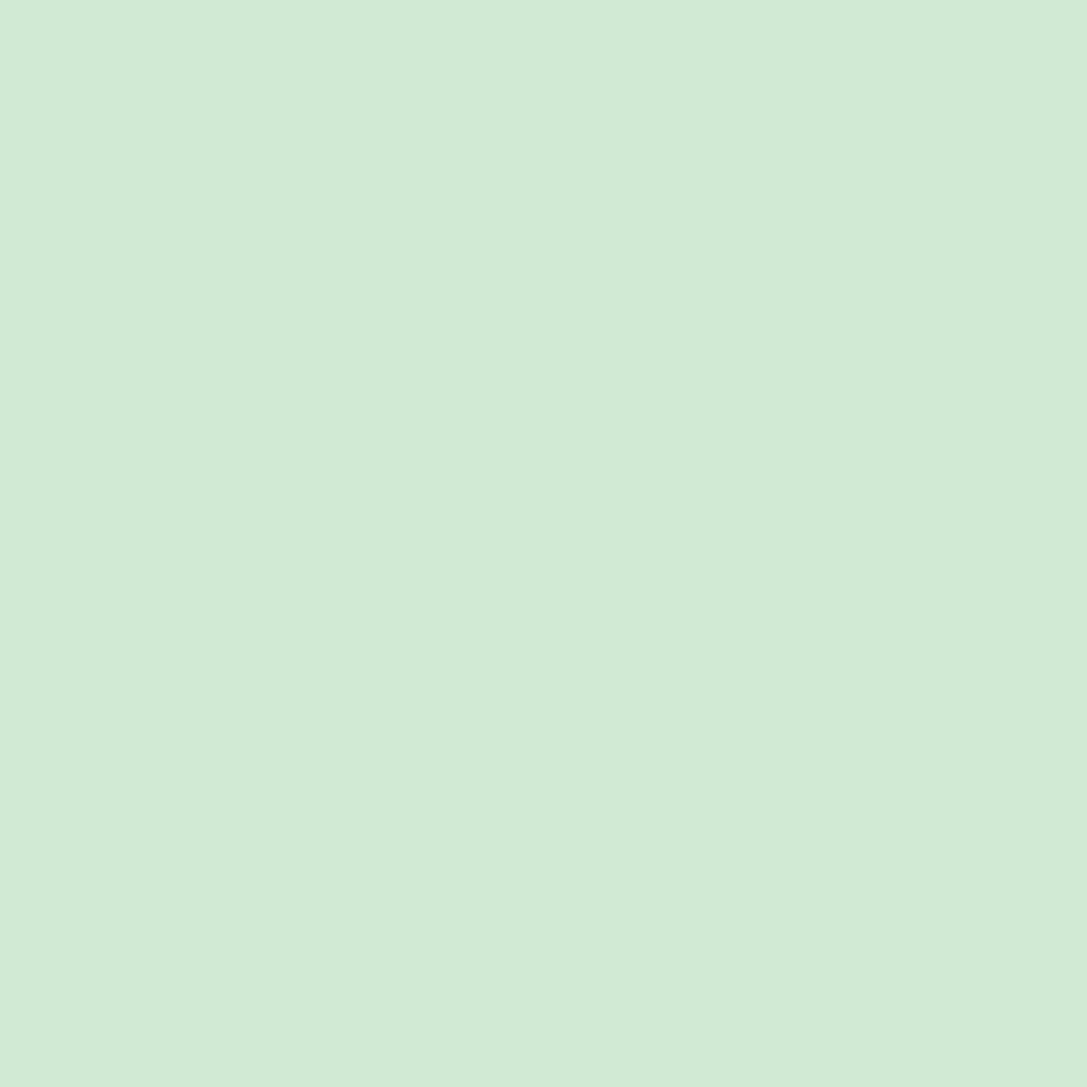 confect mint green nutritional sugarpaste 250 gms