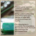 The Earth Reserve French Green Clay & Tea Tree Oil Soap