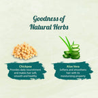 Himalaya Herbals Dryness Defense Protein Shampoo