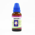Father Muller Cantharis Mother Tincture Q - Distacart
