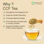 CCF-Tea_Merlion-Naturals_4