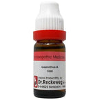 Dr. Reckeweg Ceanothus A Dilution - Distacart