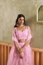 Eilara Pink Net Lehenga Choli With Embroidered, Sequins And Thread Work For Women