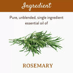 Mitti Se Rosemary Essential Oil