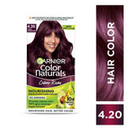 Garnier Color Naturals Creme Riche Hair Color - Shade 4.20 Wine Burgundy - Distacart