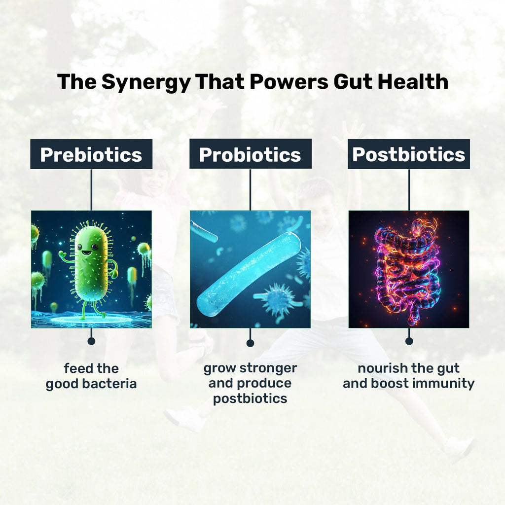 Miduty Probiotics+ Kids - Pre, Pro & Postbiotic, 6B CFU, Sunfiber, Butyrate – Gut & Immune Support