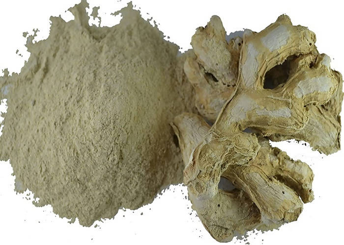 Dark Forest Dry Ginger Powder - Distacart