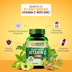Himalayan Organics Plant Based Vitamin C + Zinc 