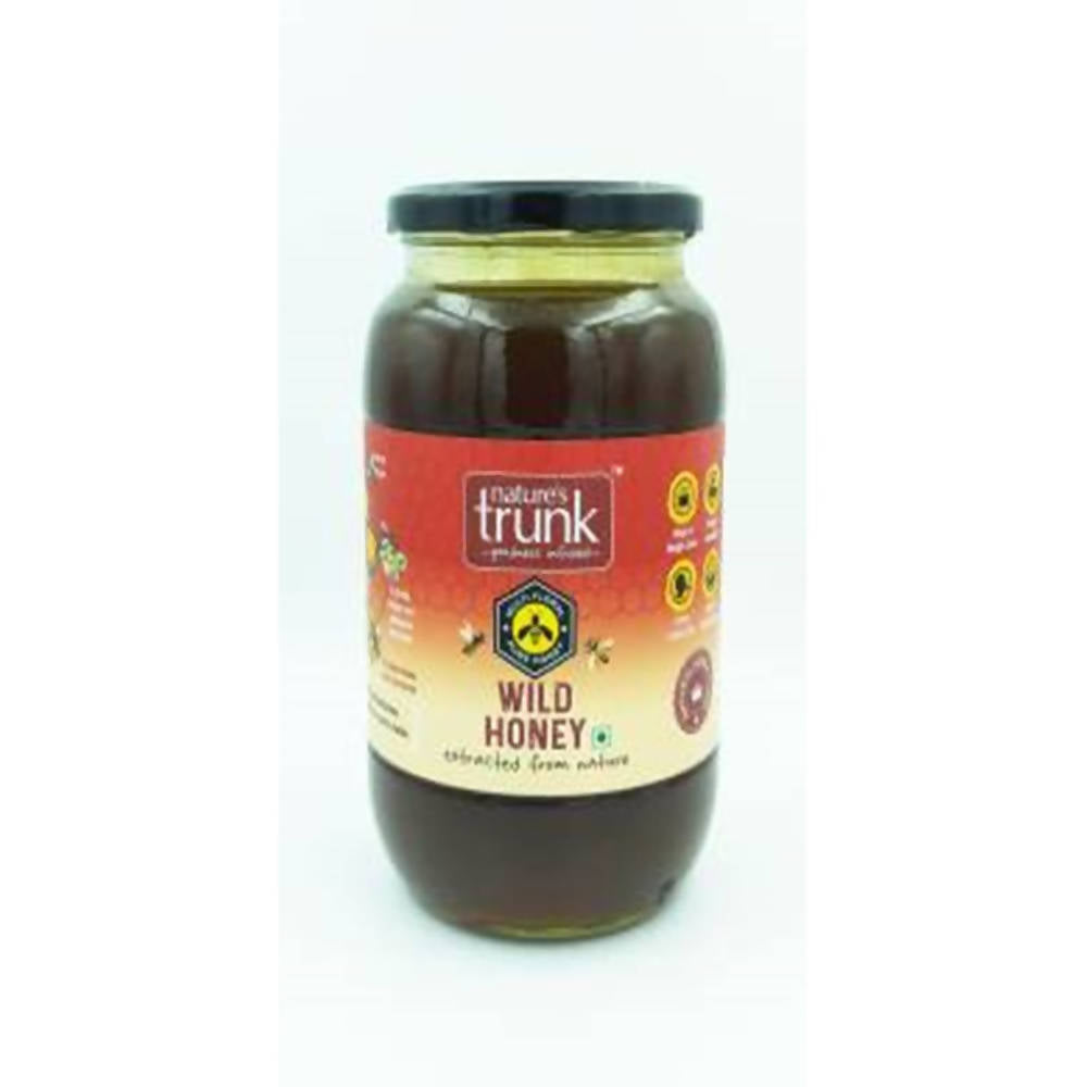 Nature's Trunk Wild Honey