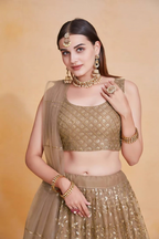 Lehenga Mart Designer Wedding Lehenga Choli For Women - Brown