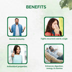 Dr. Vaidya's Chyawan Tablets - Distacart