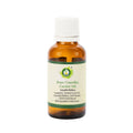 R V Essential Pure Camellia Carrier Oil