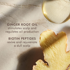 Moroccanoil Oily Scalp Treatment For Oily, Imbalanced Scalps