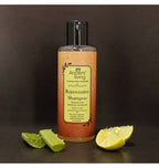Ancient Living Rejuvenative Shampoo - Distacart
