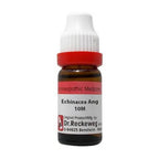 Dr. Reckeweg Echinacea Ang Dilution - Distacart