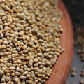 Freshon Pearl Millet - Natural - Distacart