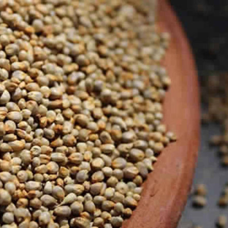 Freshon Pearl Millet - Natural