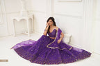 Eilara Women'S Purple Butterfly Net Embroidered Thread Work Designer Lehenga Choli